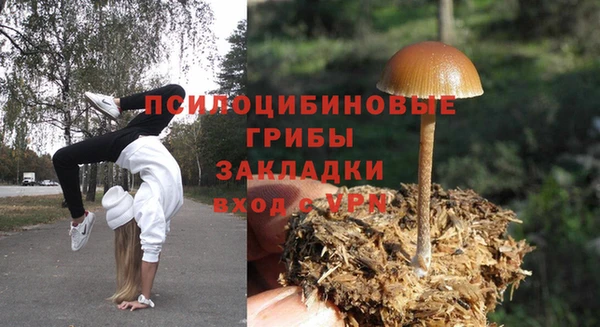 гидропоника Карпинск