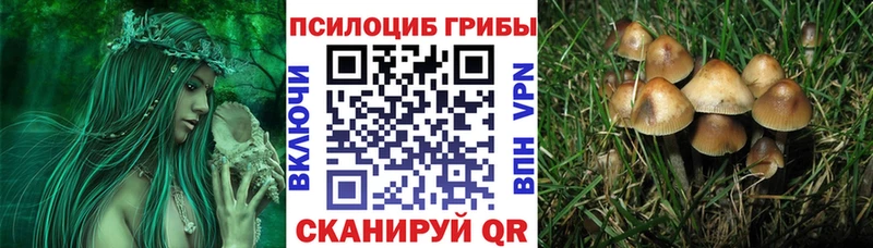 Псилоцибиновые грибы Magic Shrooms  Купить закладки  Дагестанские Огни 